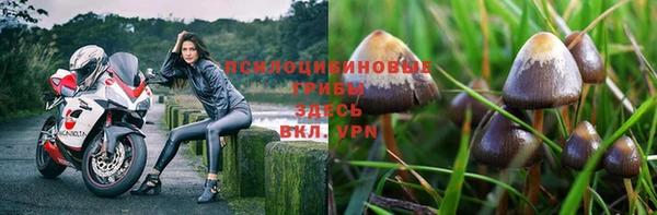 дживик Алексеевка