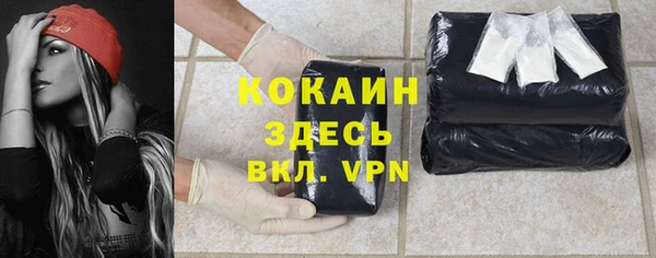 дживик Алексеевка